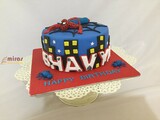 Spiderman Theme  Birthday Cake