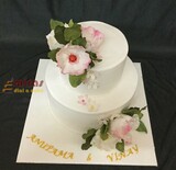 Pretty Pretty Pink Engagement Cake