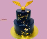 Always Harry Potter Cake
