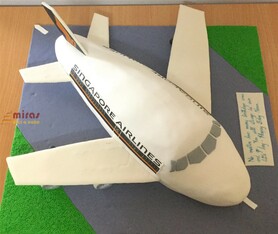 SIA Plane Theme Cake 2 kg