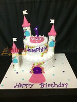 Josephine's Castle Birthday Cake