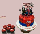 Spiderman Birthday Cake and Cupcakes