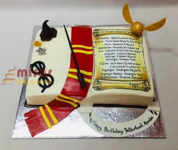 Harry Potter Birthday cake