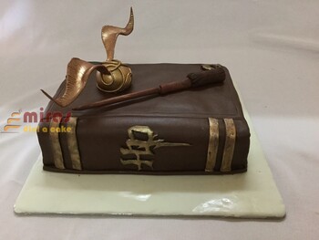 Harry Potter Book Birthday cake