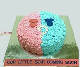 He or She Baby Shower Cake