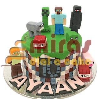 Ayaan's Minecraft Birthday Cake